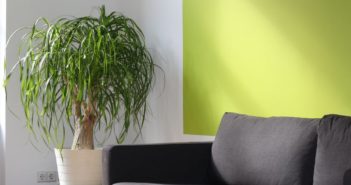 Les Femmes au foyer (2): les problèmes