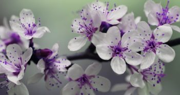 Vivre avec une personne difficile (4): comment pardonner?